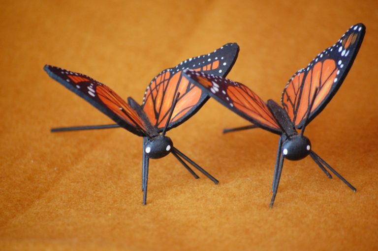 Butterflies-1